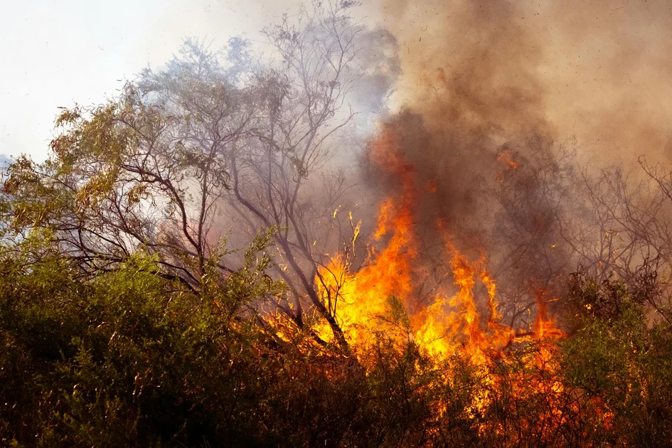Understanding Comprehensive Fire Coverage