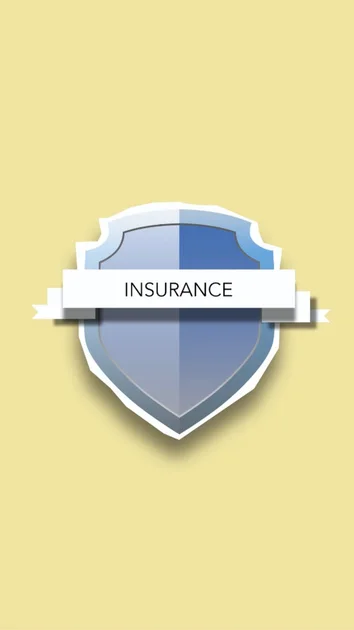The Art of Financial Shielding